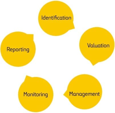 Identification Valuation Management Monitoring Reporting